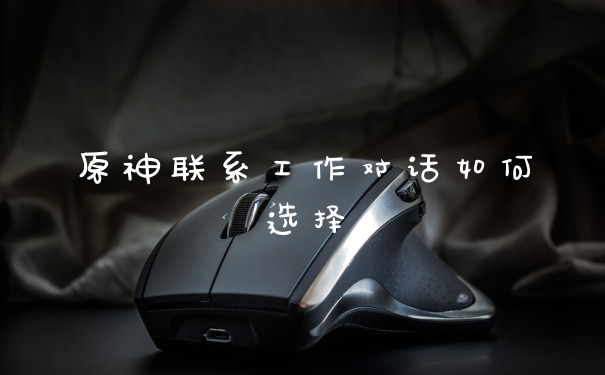 原神联系工作对话如何选择