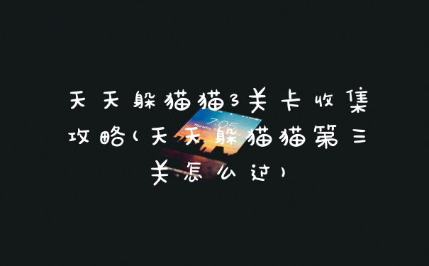 天天躲猫猫3关卡收集攻略(天天躲猫猫第三关怎么过)