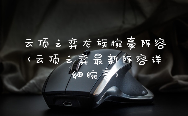 云顶之弈龙族腕豪阵容(云顶之弈最新阵容详细腕豪)