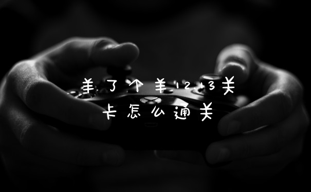 羊了个羊12.13关卡怎么通关