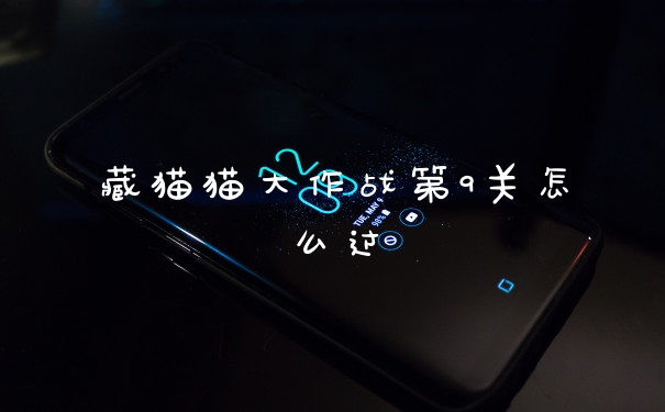 藏猫猫大作战第9关怎么过