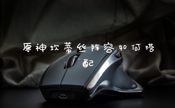 原神坎蒂丝阵容如何搭配