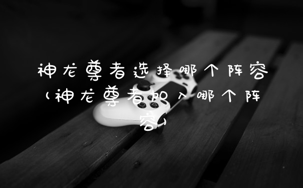 神龙尊者选择哪个阵容(神龙尊者加入哪个阵容)