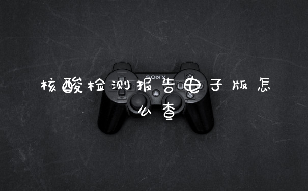 核酸检测报告电子版怎么查