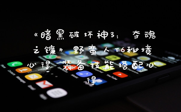 《暗黑破坏神3：夺魂之镰》野蛮人T6秘境心得 装备技能搭配心得