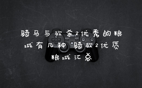 骑马与砍杀2优秀的粮城有几种 骑砍2优质粮城汇总