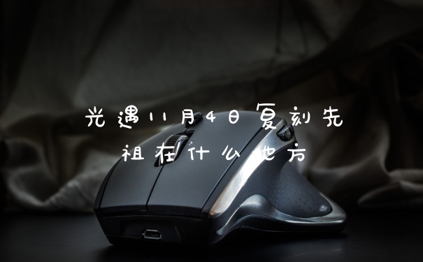 光遇11月4日复刻先祖在什么地方