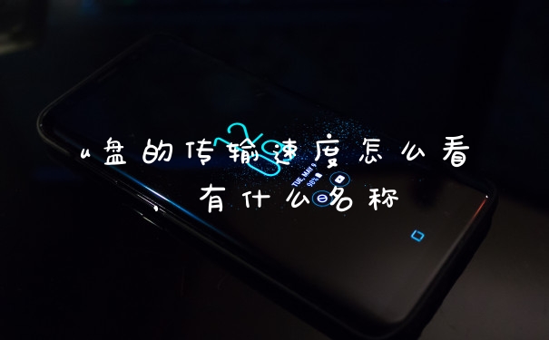 u盘的传输速度怎么看，有什么名称