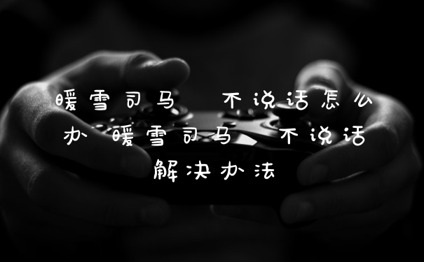 暖雪司马玥不说话怎么办 暖雪司马玥不说话解决办法
