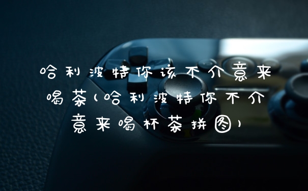 哈利波特你该不介意来喝茶(哈利波特你不介意来喝杯茶拼图)