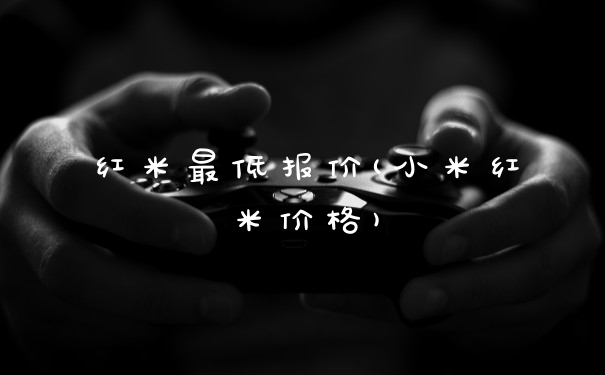 红米最低报价(小米红米价格)