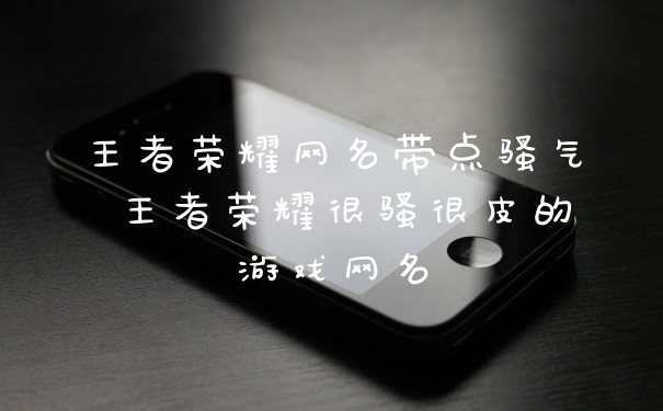 王者荣耀网名带点骚气 王者荣耀很骚很皮的游戏网名