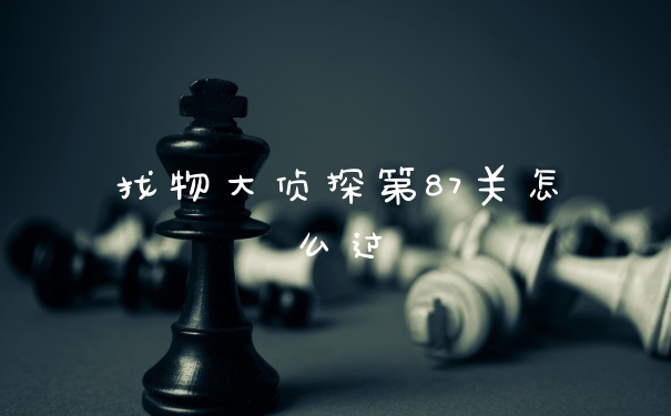 找物大侦探第87关怎么过