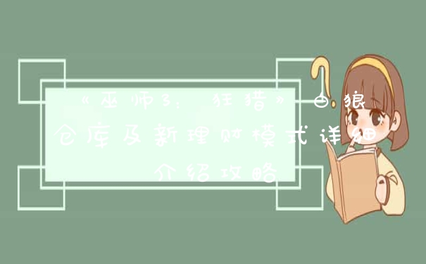 《巫师3：狂猎》白狼仓库及新理财模式详细介绍攻略