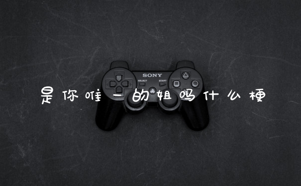 是你唯一的姐吗什么梗