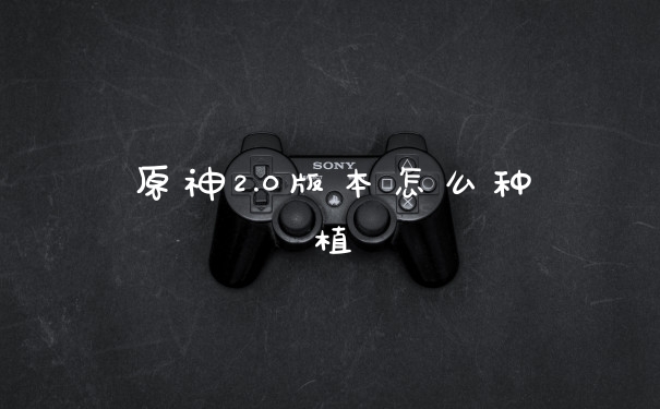 原神2.0版本怎么种植