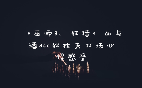 《巫师3：狂猎》血与酒dlc狄拉夫打法心得感受