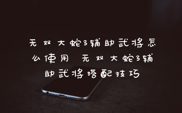 无双大蛇3辅助武将怎么使用 无双大蛇3辅助武将搭配技巧