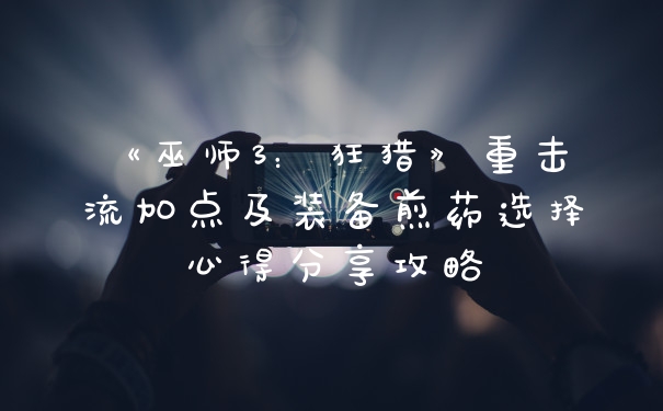 《巫师3：狂猎》重击流加点及装备煎药选择心得分享攻略