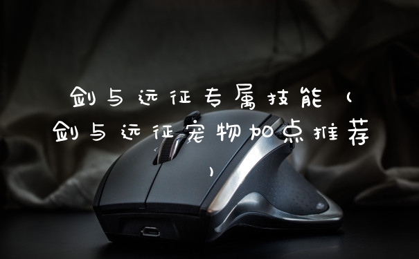 剑与远征专属技能 (剑与远征宠物加点推荐)