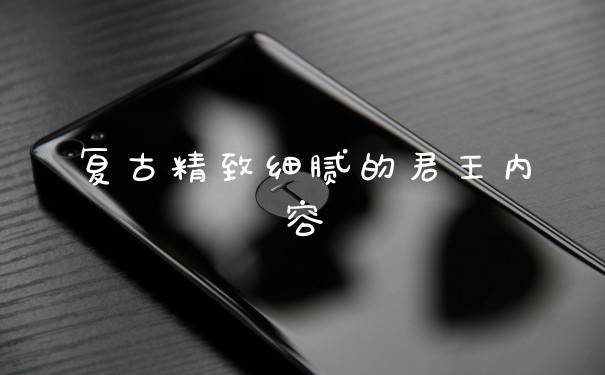 复古精致细腻的君王内容