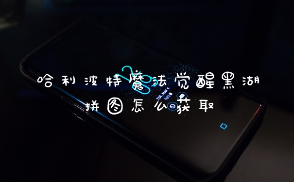 哈利波特魔法觉醒黑湖拼图怎么获取