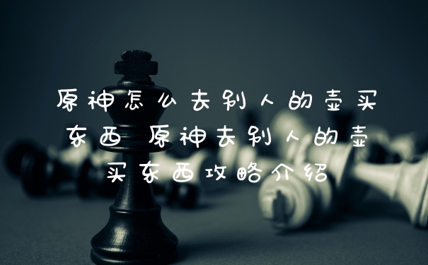 原神怎么去别人的壶买东西 原神去别人的壶买东西攻略介绍