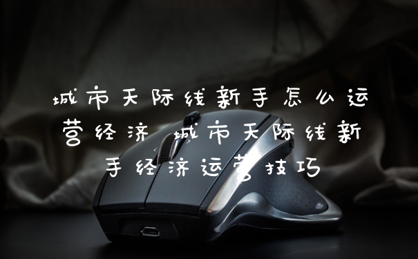 城市天际线新手怎么运营经济 城市天际线新手经济运营技巧