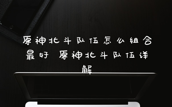 原神北斗队伍怎么组合最好 原神北斗队伍详解