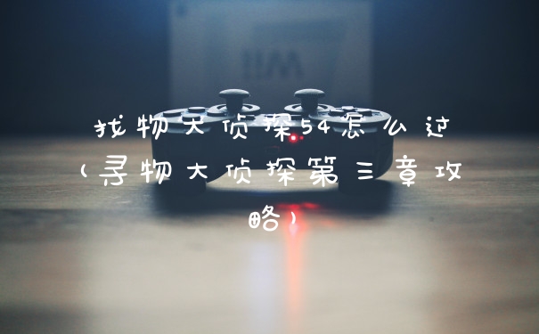 找物大侦探54怎么过(寻物大侦探第三章攻略)