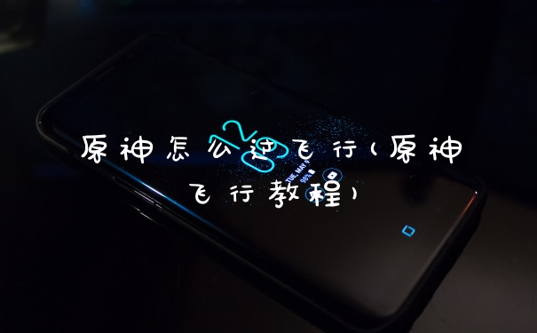 原神怎么过飞行(原神飞行教程)