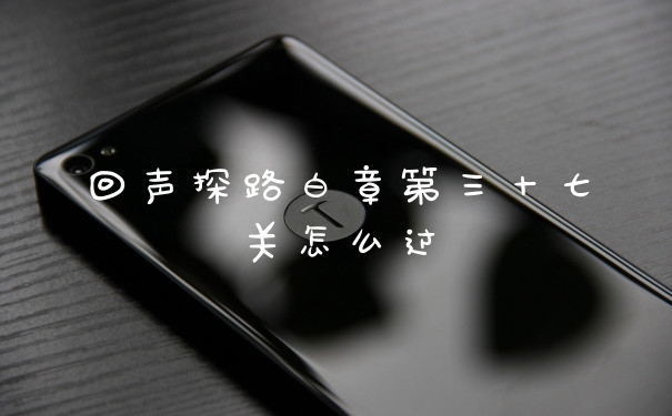 回声探路白章第三十七关怎么过