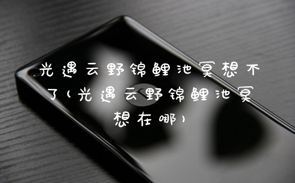 光遇云野锦鲤池冥想不了(光遇云野锦鲤池冥想在哪)