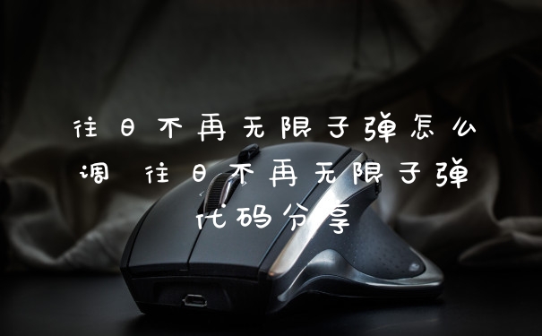 往日不再无限子弹怎么调 往日不再无限子弹代码分享