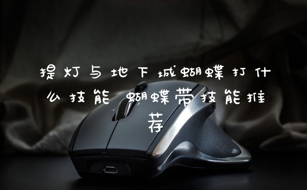 提灯与地下城蝴蝶打什么技能 蝴蝶带技能推荐