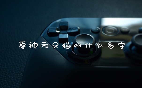 原神两只猫叫什么名字