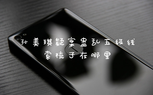 孙美琪疑案蛊乱五级线索梳子在哪里