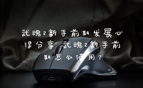 武魂2新手前期发展心得分享 武魂2新手前期怎么使用？