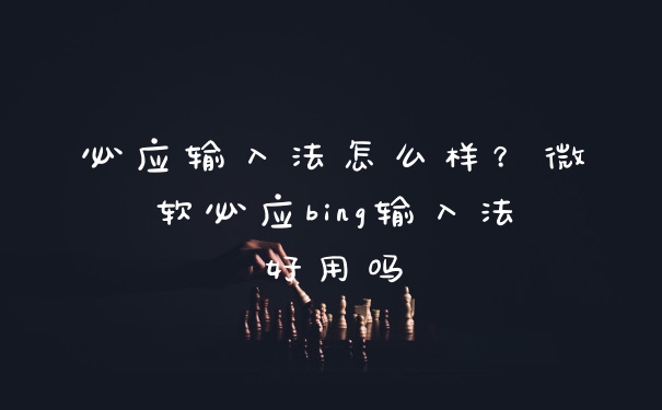 必应输入法怎么样？微软必应bing输入法好用吗