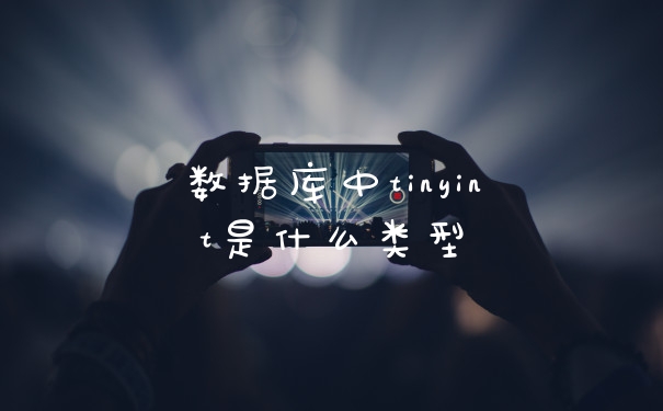 数据库中tinyint是什么类型