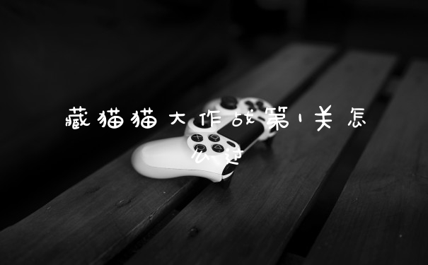 藏猫猫大作战第1关怎么过