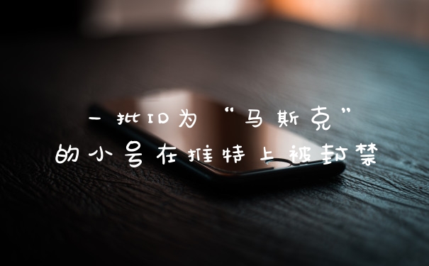 一批ID为“马斯克”的小号在推特上被封禁