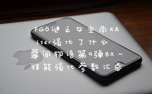 FGO谜之女主角XAlter强化了什么 幕间物语第9弹BX一技能强化参数汇总
