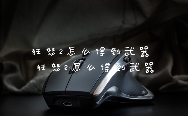 狂怒2怎么得到武器 狂怒2怎么得到武器