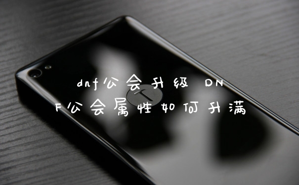 dnf公会升级 DNF公会属性如何升满