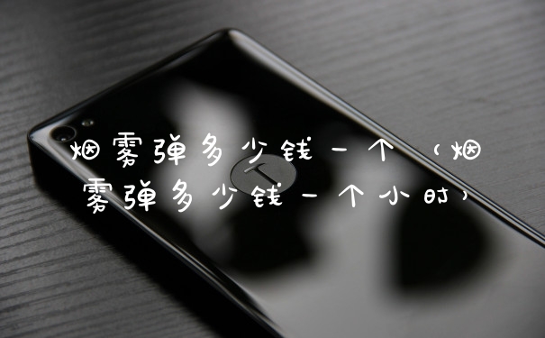 烟雾弹多少钱一个（烟雾弹多少钱一个小时）