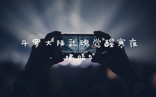 斗罗大陆武魂觉醒寒夜拂晓5