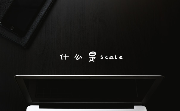 什么是scale