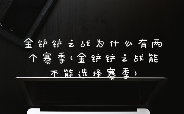 金铲铲之战为什么有两个赛季(金铲铲之战能不能选择赛季)