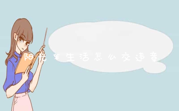 阳光车生活怎么交违章